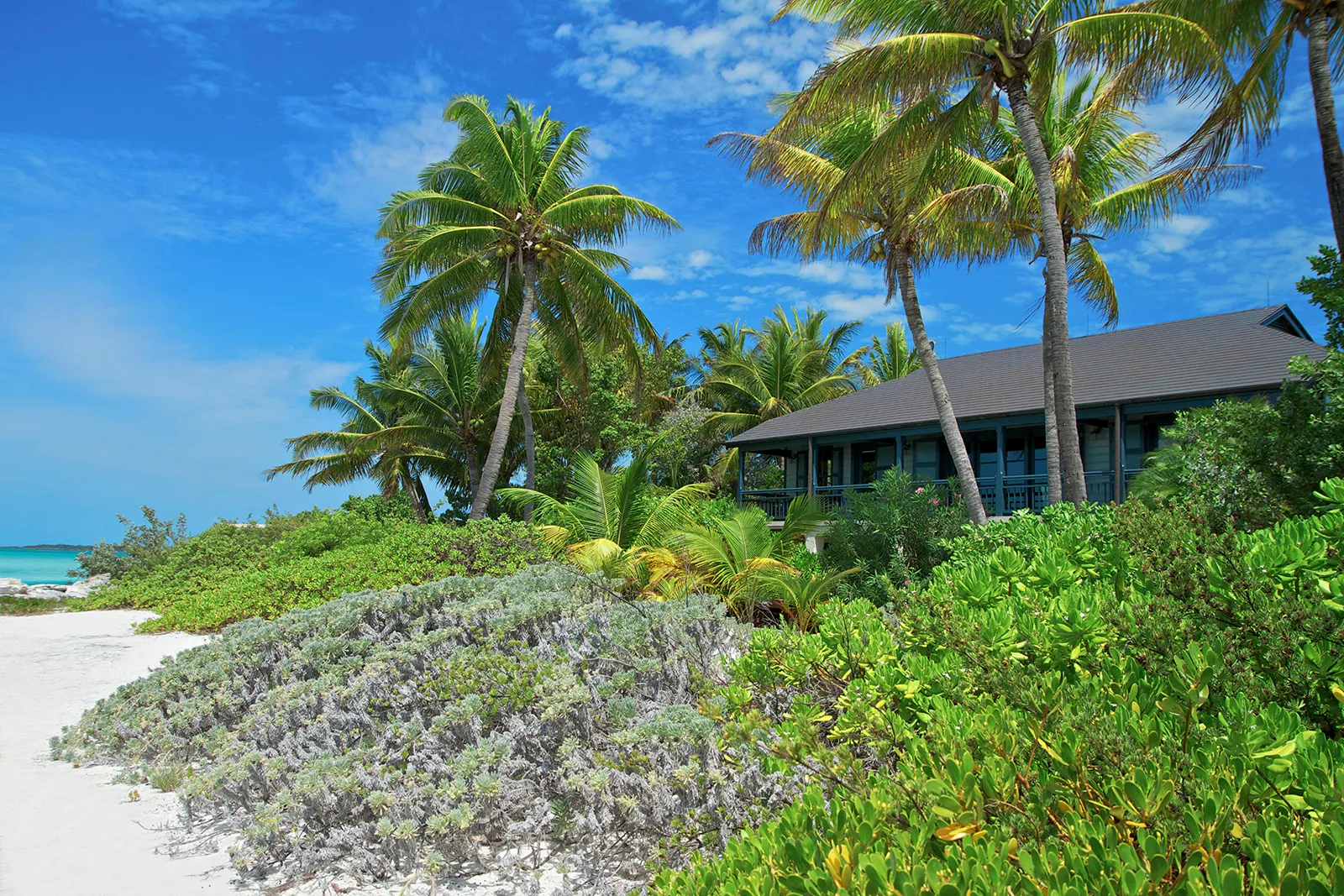 house-image